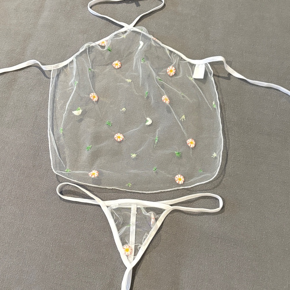 Sheer Floral Embroidered Lingerie Set